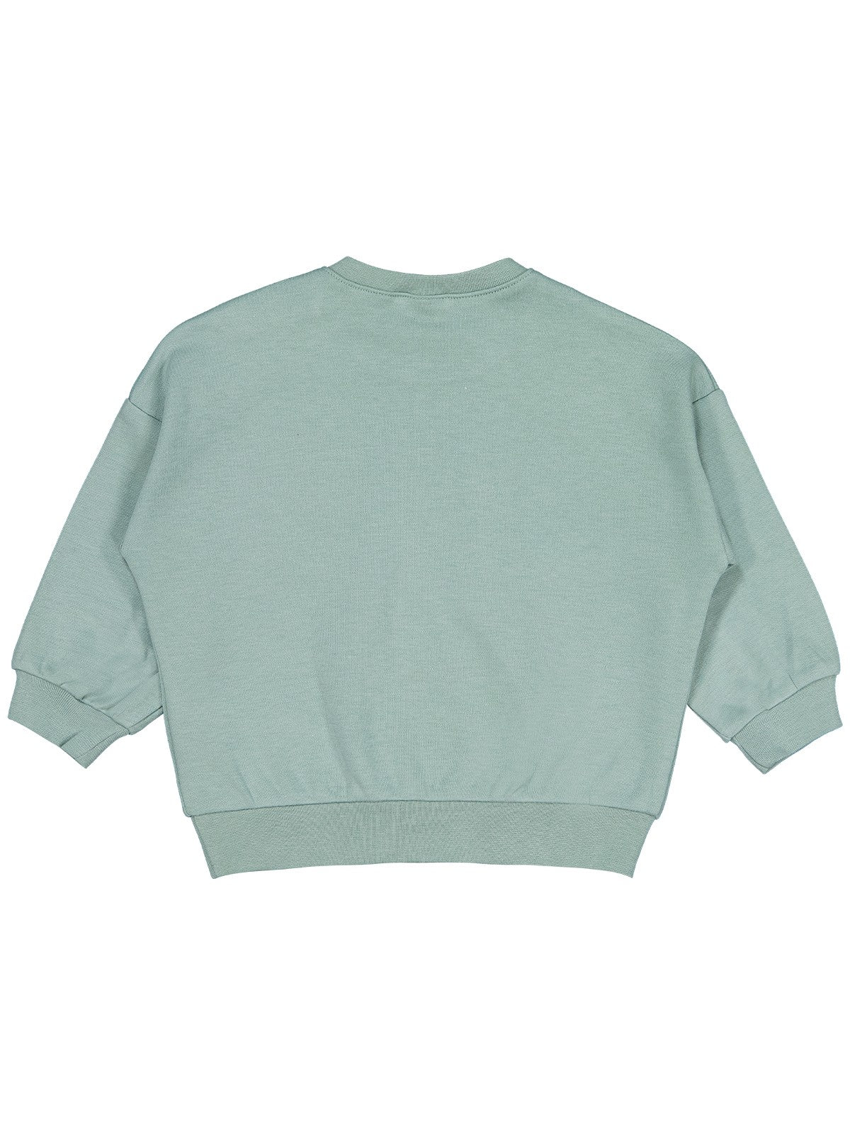 Civil Baby Dinozor Baskılı 6-18 Ay Sweatshirt - Yeşil