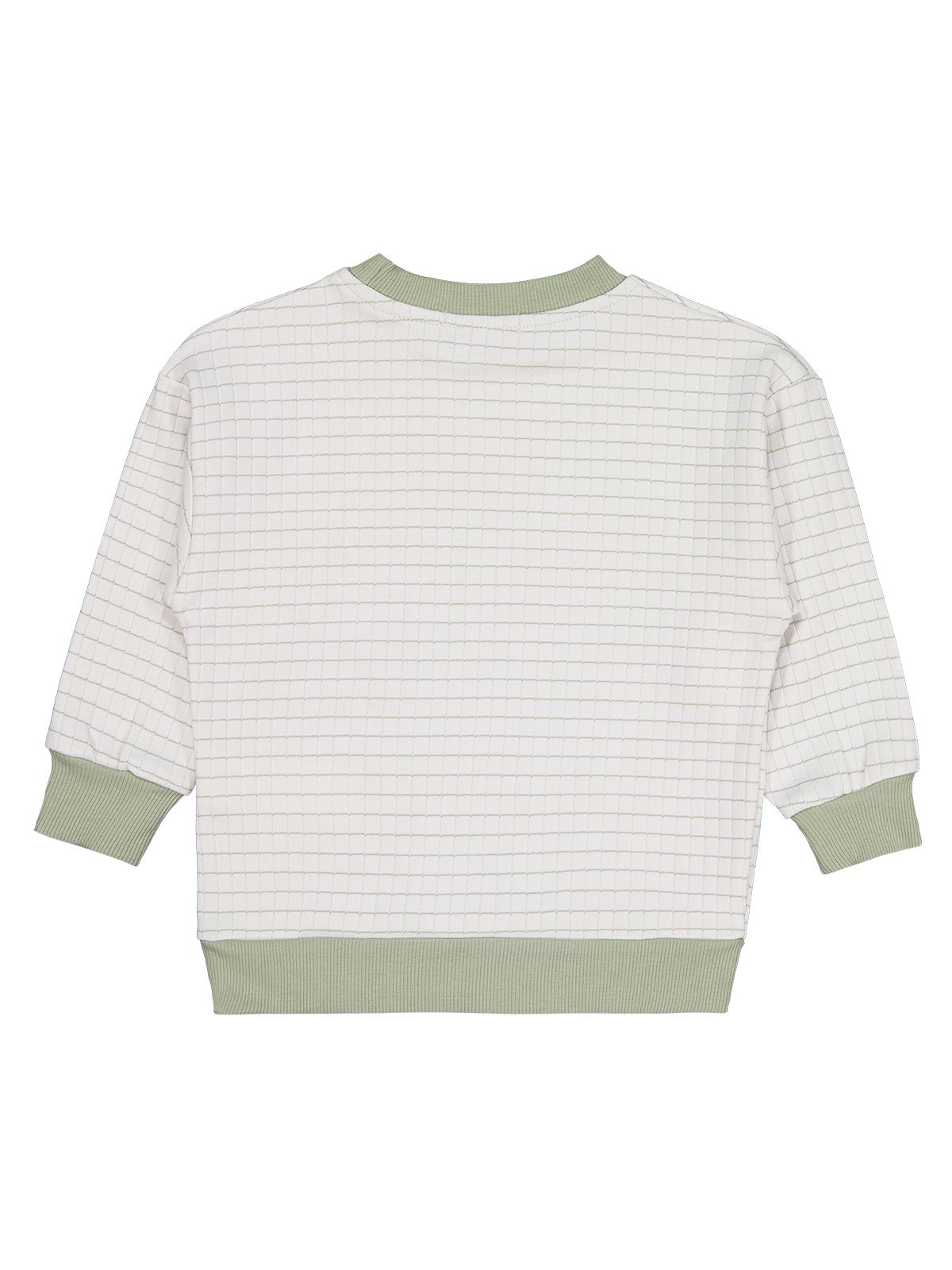 Civil Erkek Çocuk Aslan Nakışlı Sweatshirt | İnterlok Uzun Kol | Okul Kreş ve Günlük Kullanım - Yeşil