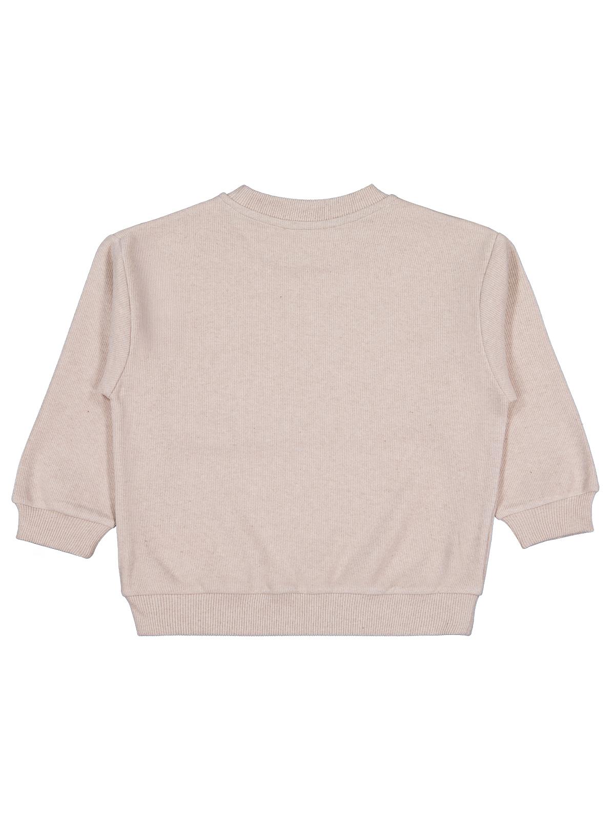 Civil Boys Erkek Çocuk Basic Selanik Sweatshirt | Selanik Uzun Kol | Okul Kreş ve Günlük Kullanım - Bej