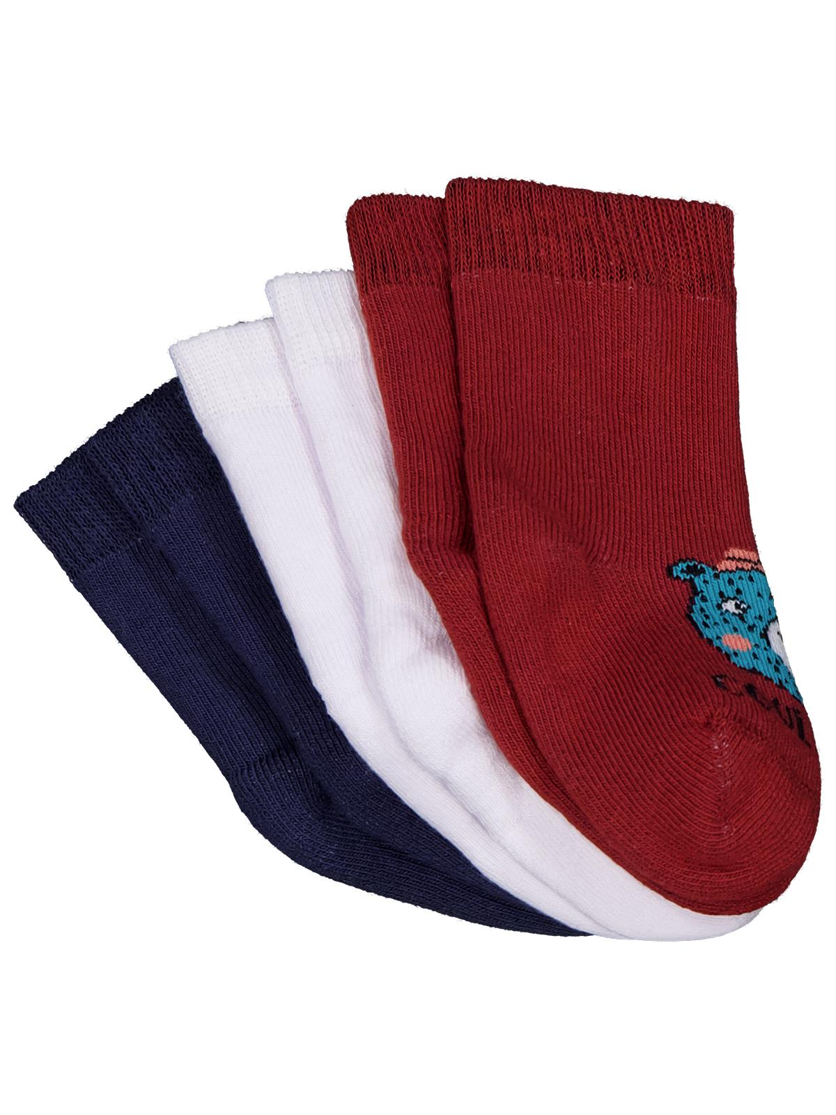 Civil Baby Animal Havlu 6- 3'lü Bebek Erk Çorap Set