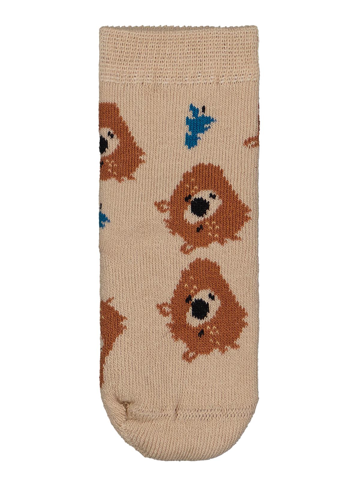 Civil Baby Bear Havlu 6- 2'li Bebek Erk Çorap Set