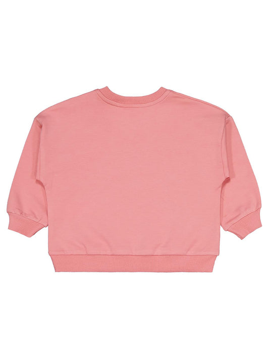 Civil Baby Ayıcık Baskılı 3'lü Set 6-18 Ay Sweatshirt