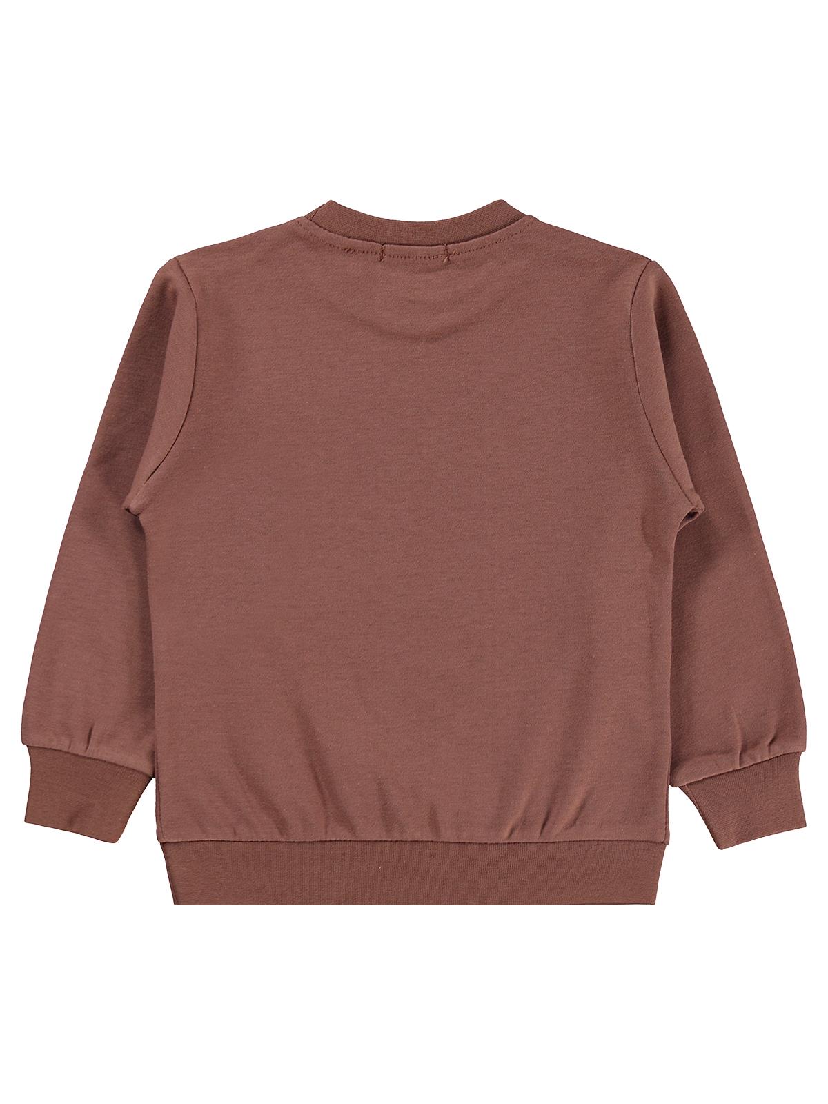 Civil Boys Awesome Aslan Baskılı 2-5 Yaş Sweatshirt - Kahverengi