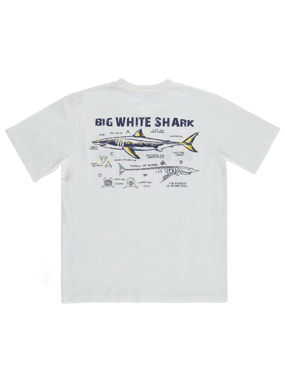 Civil Boys Big White Baskılı 10-13 Yaş Tişört - Kırık Beyaz