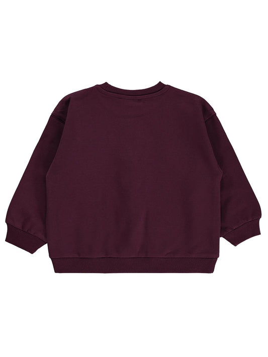 Civil Girls Amour 2-5 Yaş Sweatshirt - Lila